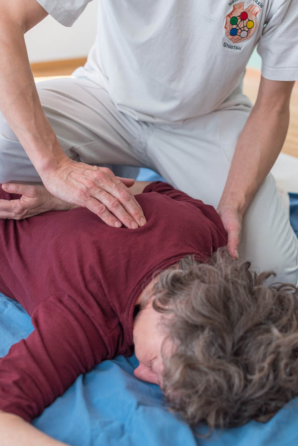 Die Therapiemethoden von Marcel Buchle